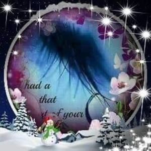 Meet your Posher, Connie